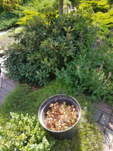 20180613_135034.jpg