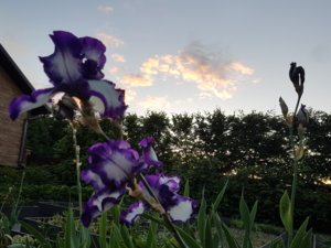 20180606_212813.jpg