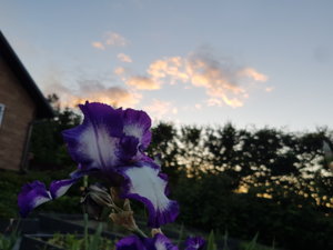 20180606_212829.jpg