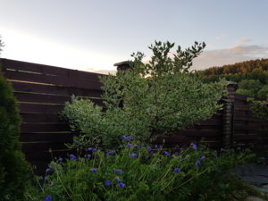 20180606_210923.jpg