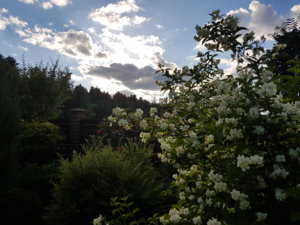 20180607_192551.jpg