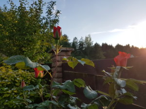 20180607_203047.jpg