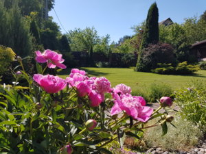 20180608_102936.jpg