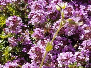 20180608_102659.jpg