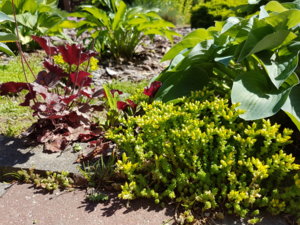 20180608_103635.jpg