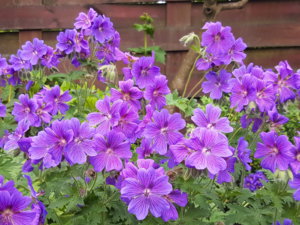 20180615_092425.jpg