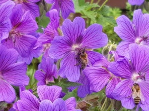 20180615_092432.jpg
