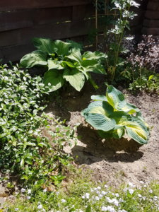 20180613_141045.jpg