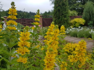 20180615_093455.jpg