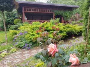20180615_093843.jpg