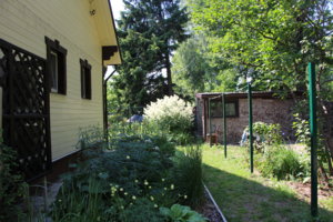 IMG_6870.JPG