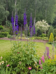 20180615_094134.jpg