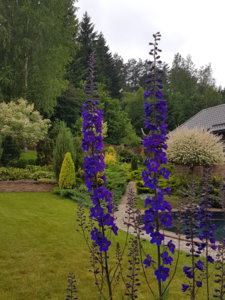 20180615_094230.jpg
