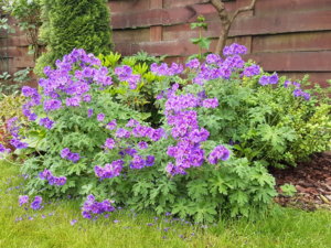 20180615_092343.jpg