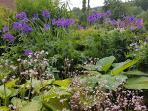 20180615_094045.jpg