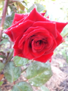 20180625_220455.jpg