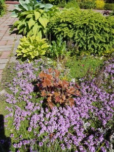 20180608_104025.jpg