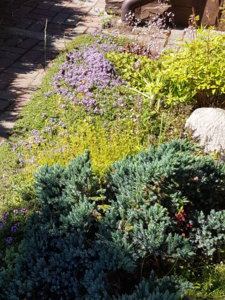 20180608_104129.jpg