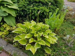 20180628_171314.jpg
