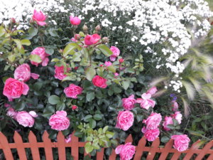 20180630_205857.jpg