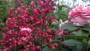 WP_20180602_17_22_16_Pro.jpg