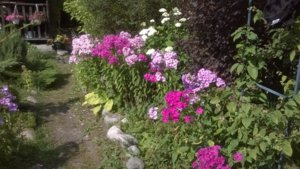 WP_20140727_025.jpg