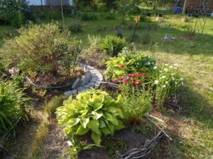 DSCN6320.JPG