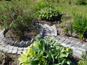 DSCN6348.JPG