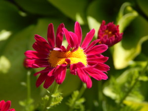 DSCN6244.JPG
