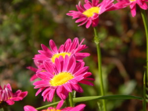 DSCN6222.JPG