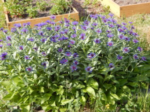 DSCN6235.JPG