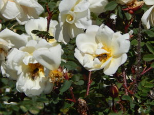 DSCN6360.JPG