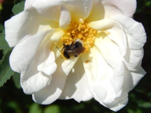 DSCN6365.JPG