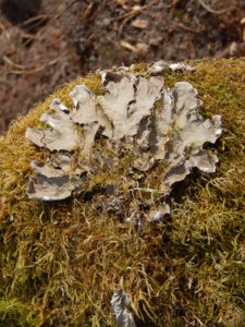 DSCN6456.JPG