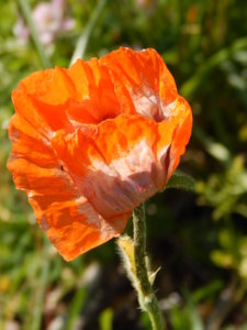 DSCN6255.JPG