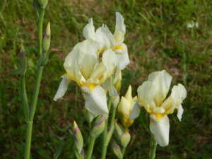 DSCN6191.JPG