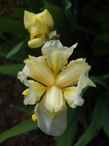 DSCN6194.JPG