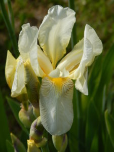 DSCN6195.JPG
