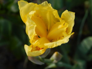 DSCN6330.JPG