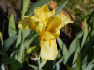 DSCN6354.JPG