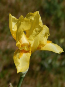 DSCN6355.JPG