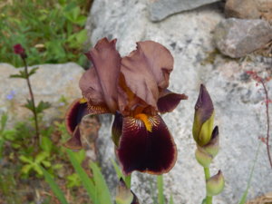 DSCN6380.JPG