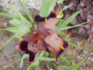 DSCN6382.JPG