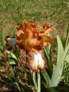 DSCN6430.JPG
