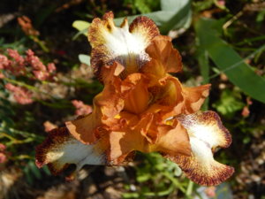 DSCN6427.JPG