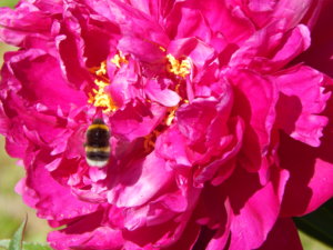 DSCN6551.JPG