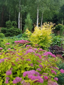 20180621_194945.jpg