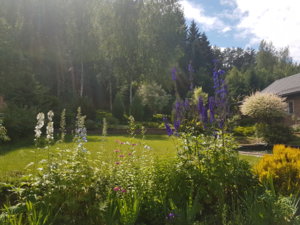 20180624_144806.jpg