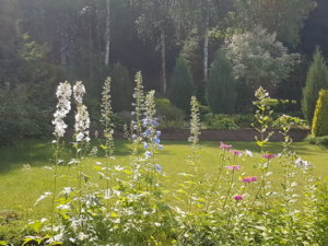 20180624_144821.jpg