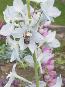 20180617_143920.jpg
